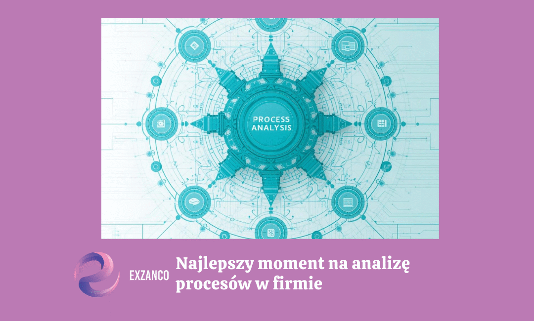 analiza procesowa